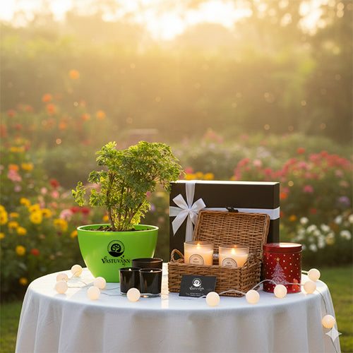 Basil Plant: The Heart of Your Christmas Kitchen