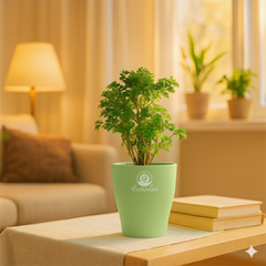 Green areliya