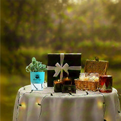 Succulent: Growth and Good Fortune for the New Year