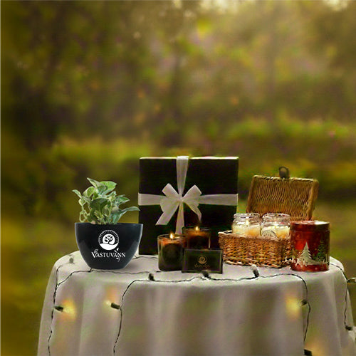 Gift Prosperity this New Year with Money Plant