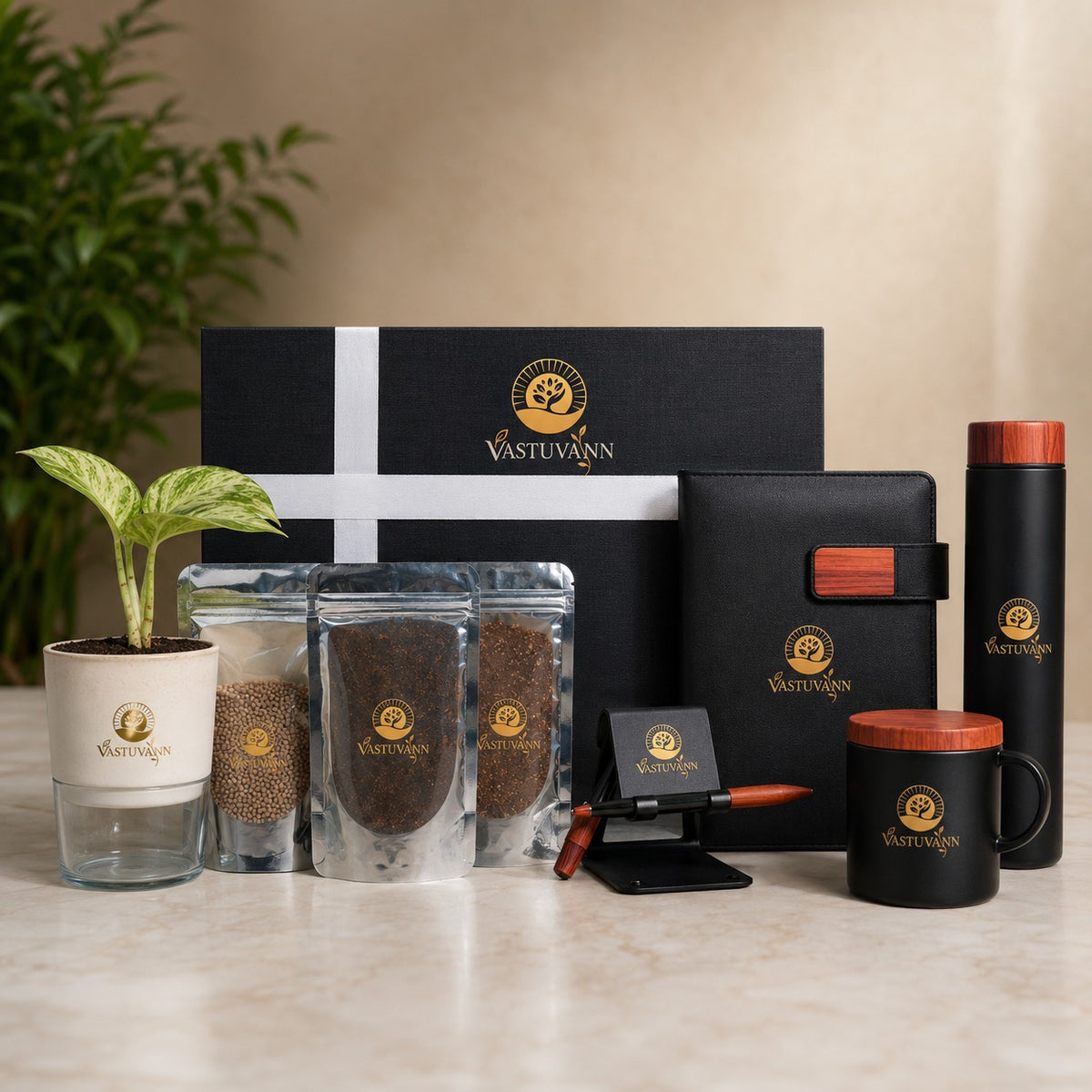 Gift a Golden Money Plant hamper of hope.